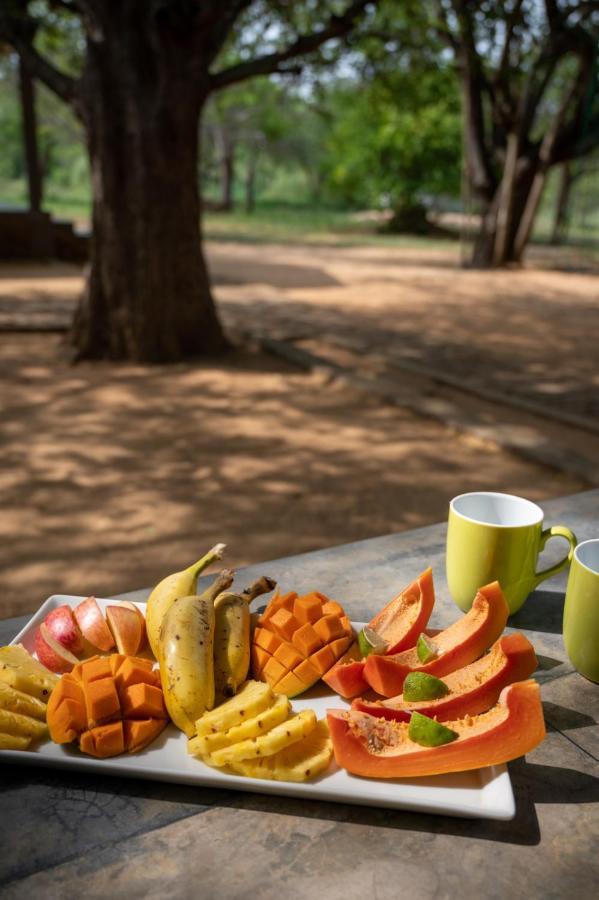 ティッサマハーラーマ Hide Yala Bed & Breakfast エクステリア 写真