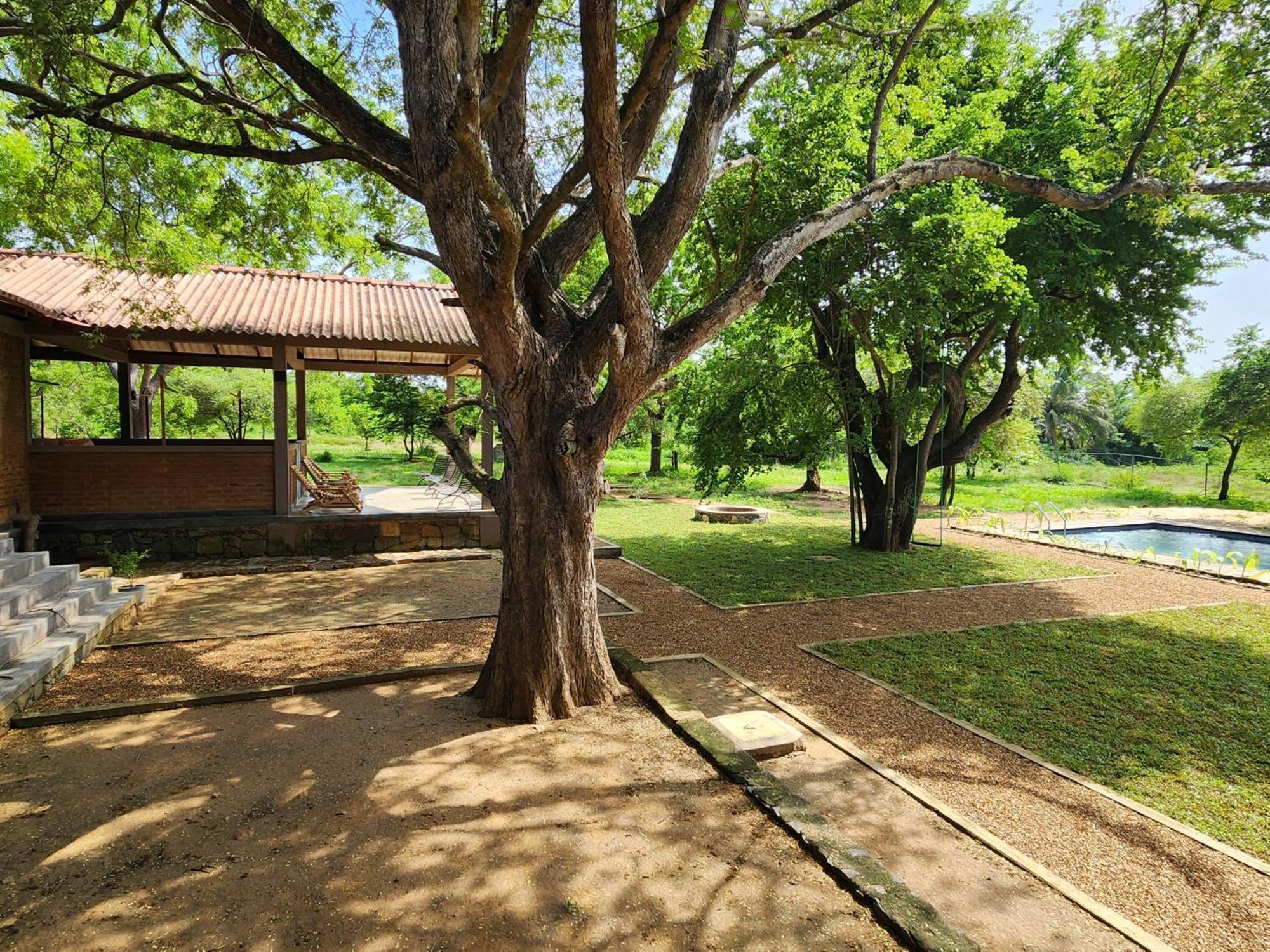 ティッサマハーラーマ Hide Yala Bed & Breakfast エクステリア 写真